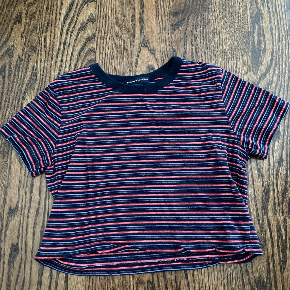 Brandy Melville Crop Top